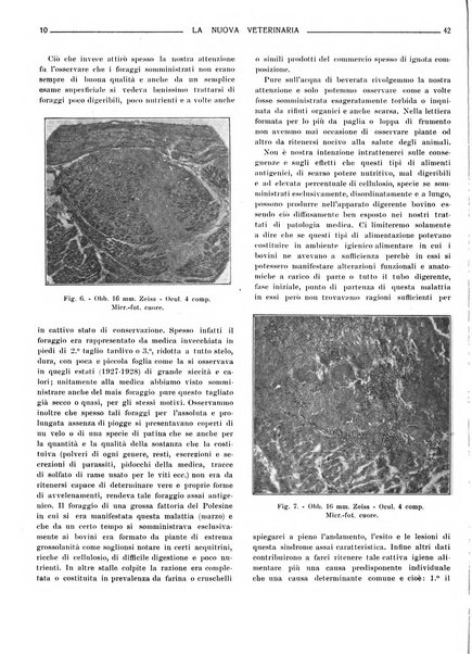 La nuova veterinaria rivista mensile fondata e diretta da Alessandro Lanfranchi