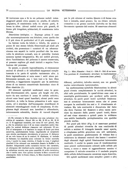 La nuova veterinaria rivista mensile fondata e diretta da Alessandro Lanfranchi