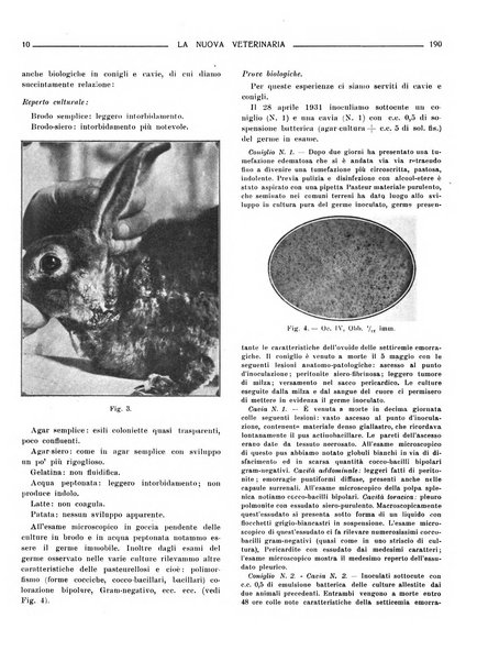 La nuova veterinaria rivista mensile fondata e diretta da Alessandro Lanfranchi