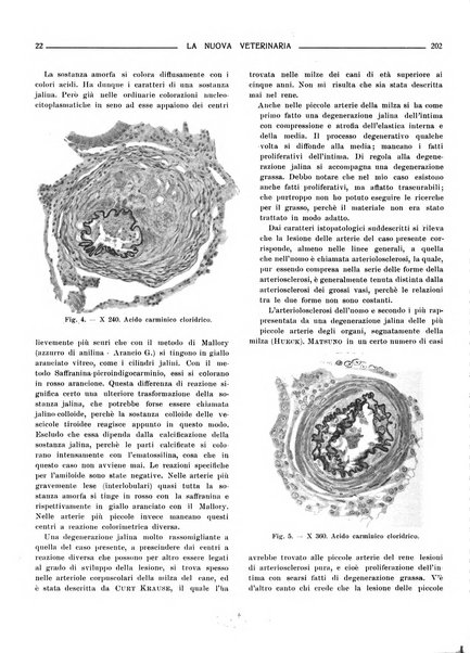 La nuova veterinaria rivista mensile fondata e diretta da Alessandro Lanfranchi