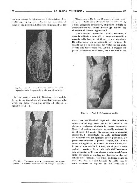 La nuova veterinaria rivista mensile fondata e diretta da Alessandro Lanfranchi