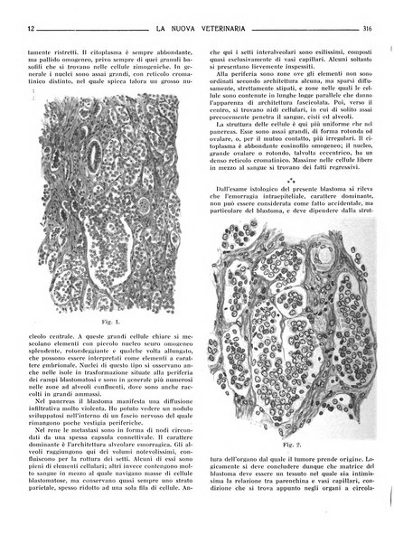 La nuova veterinaria rivista mensile fondata e diretta da Alessandro Lanfranchi