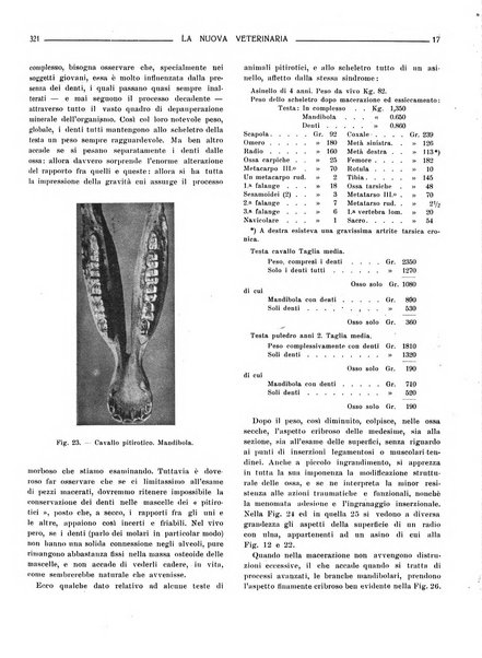 La nuova veterinaria rivista mensile fondata e diretta da Alessandro Lanfranchi