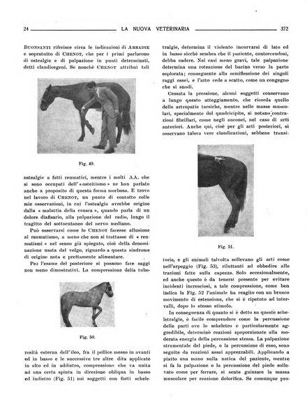 La nuova veterinaria rivista mensile fondata e diretta da Alessandro Lanfranchi