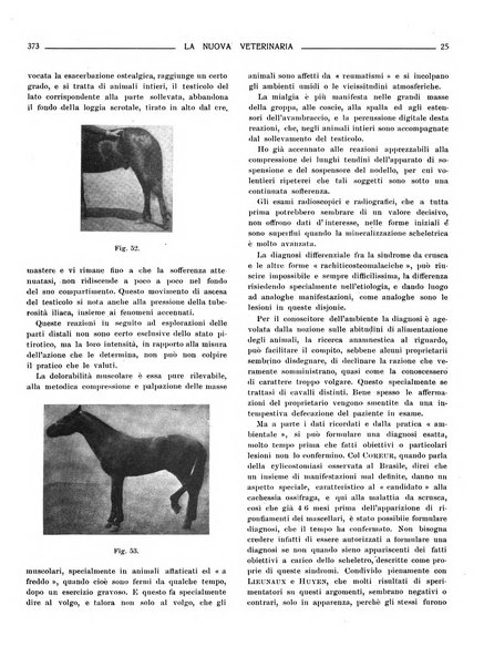 La nuova veterinaria rivista mensile fondata e diretta da Alessandro Lanfranchi