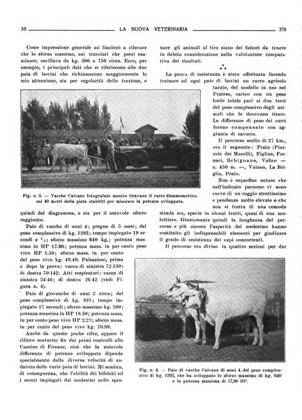 La nuova veterinaria rivista mensile fondata e diretta da Alessandro Lanfranchi