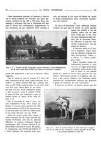 giornale/TO00190201/1932/unico/00000390