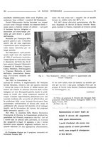 giornale/TO00190201/1932/unico/00000393