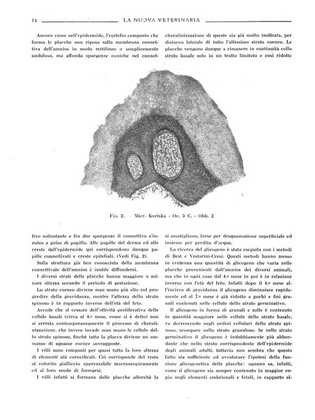 La nuova veterinaria rivista mensile fondata e diretta da Alessandro Lanfranchi