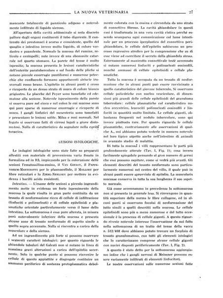 La nuova veterinaria rivista mensile fondata e diretta da Alessandro Lanfranchi