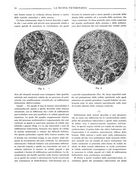 La nuova veterinaria rivista mensile fondata e diretta da Alessandro Lanfranchi