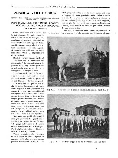 La nuova veterinaria rivista mensile fondata e diretta da Alessandro Lanfranchi