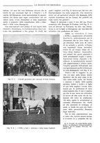 giornale/TO00190201/1933/unico/00000041