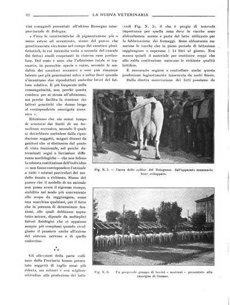 La nuova veterinaria rivista mensile fondata e diretta da Alessandro Lanfranchi