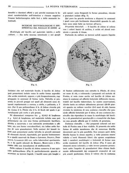 La nuova veterinaria rivista mensile fondata e diretta da Alessandro Lanfranchi