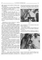 giornale/TO00190201/1933/unico/00000105
