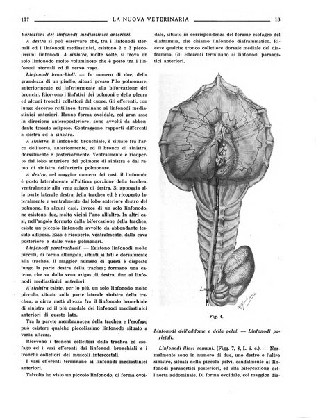 La nuova veterinaria rivista mensile fondata e diretta da Alessandro Lanfranchi