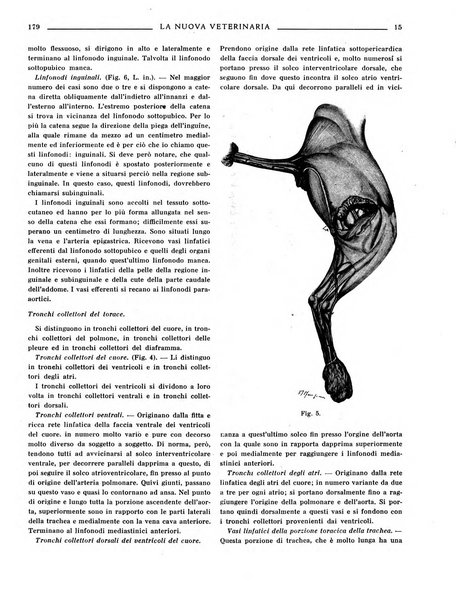 La nuova veterinaria rivista mensile fondata e diretta da Alessandro Lanfranchi