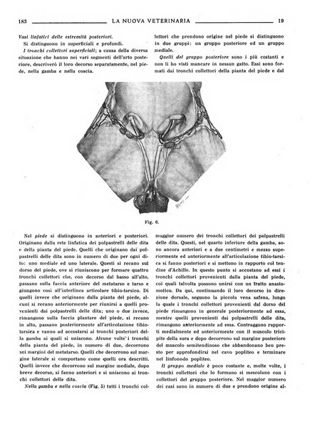 La nuova veterinaria rivista mensile fondata e diretta da Alessandro Lanfranchi