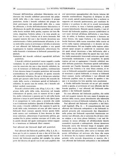 La nuova veterinaria rivista mensile fondata e diretta da Alessandro Lanfranchi