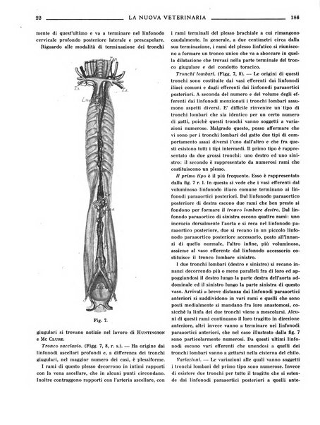 La nuova veterinaria rivista mensile fondata e diretta da Alessandro Lanfranchi