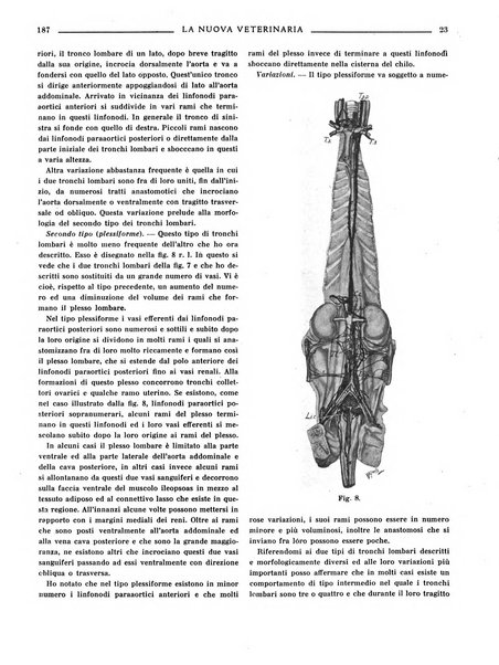 La nuova veterinaria rivista mensile fondata e diretta da Alessandro Lanfranchi