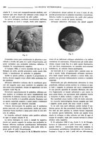 giornale/TO00190201/1933/unico/00000245