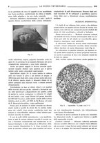 giornale/TO00190201/1933/unico/00000246