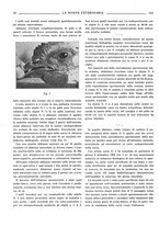 giornale/TO00190201/1933/unico/00000248