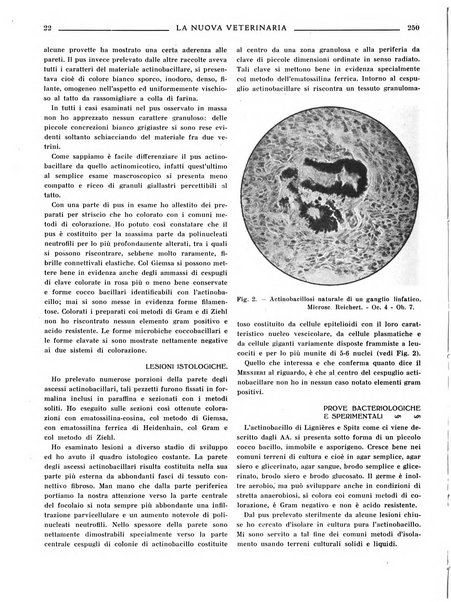 La nuova veterinaria rivista mensile fondata e diretta da Alessandro Lanfranchi