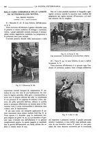 giornale/TO00190201/1933/unico/00000279