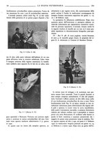 giornale/TO00190201/1933/unico/00000280