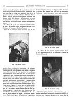 giornale/TO00190201/1933/unico/00000281