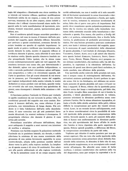 La nuova veterinaria rivista mensile fondata e diretta da Alessandro Lanfranchi