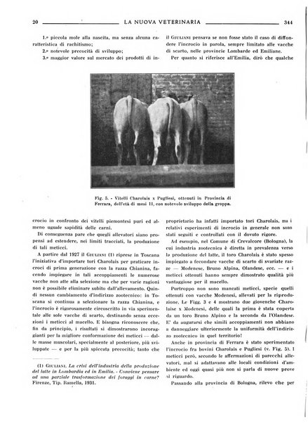 La nuova veterinaria rivista mensile fondata e diretta da Alessandro Lanfranchi