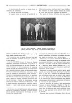 giornale/TO00190201/1933/unico/00000358