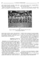 giornale/TO00190201/1933/unico/00000361