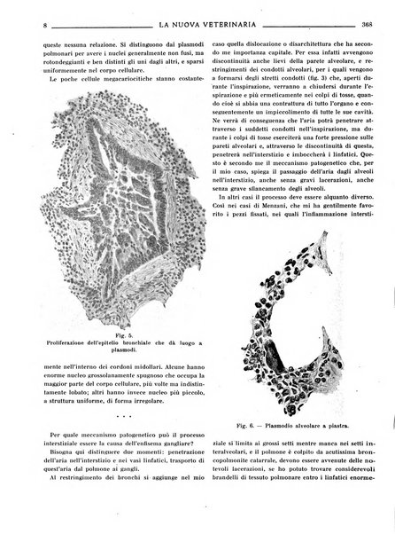 La nuova veterinaria rivista mensile fondata e diretta da Alessandro Lanfranchi