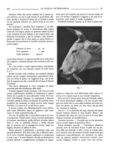 La nuova veterinaria rivista mensile fondata e diretta da Alessandro Lanfranchi