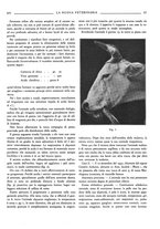 giornale/TO00190201/1933/unico/00000445