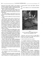 giornale/TO00190201/1933/unico/00000465