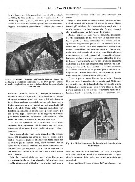 La nuova veterinaria rivista mensile fondata e diretta da Alessandro Lanfranchi