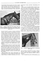 giornale/TO00190201/1934/unico/00000015
