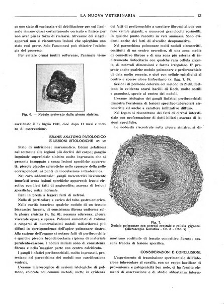 La nuova veterinaria rivista mensile fondata e diretta da Alessandro Lanfranchi