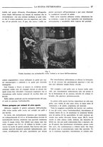 giornale/TO00190201/1934/unico/00000033