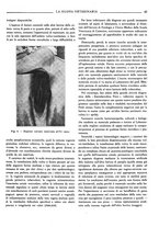 giornale/TO00190201/1934/unico/00000049