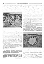 giornale/TO00190201/1934/unico/00000050