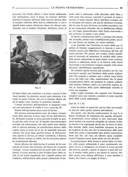 La nuova veterinaria rivista mensile fondata e diretta da Alessandro Lanfranchi