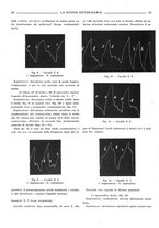 giornale/TO00190201/1934/unico/00000078