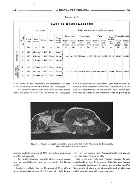 La nuova veterinaria rivista mensile fondata e diretta da Alessandro Lanfranchi